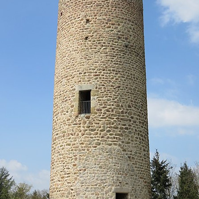 Photo de Château des comtes de Forez