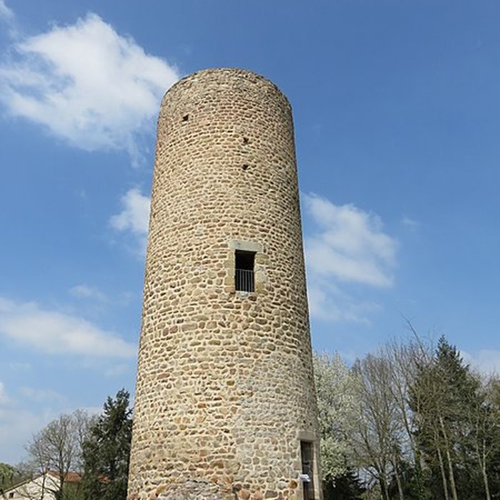 Photo de Château des comtes de Forez
