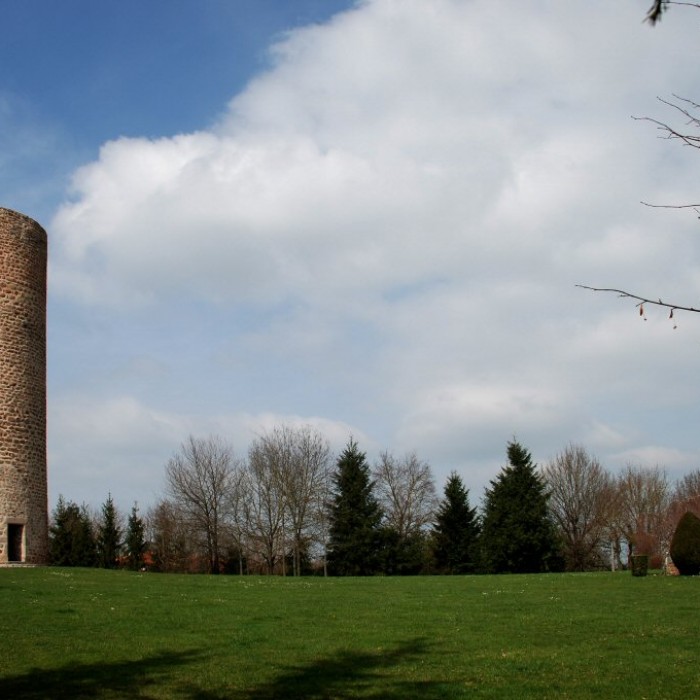 Photo de Château des comtes de Forez