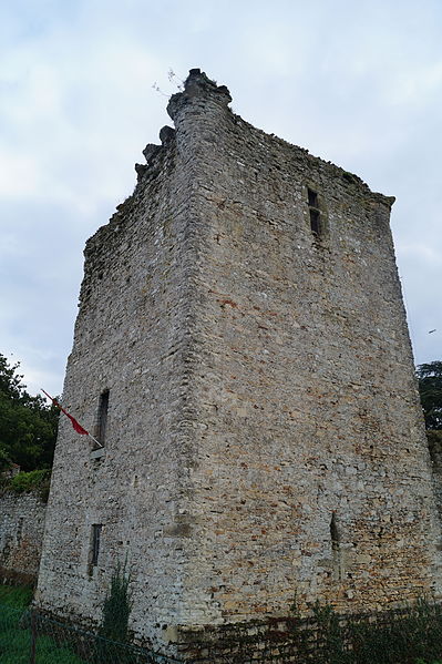 Château des Essarts
