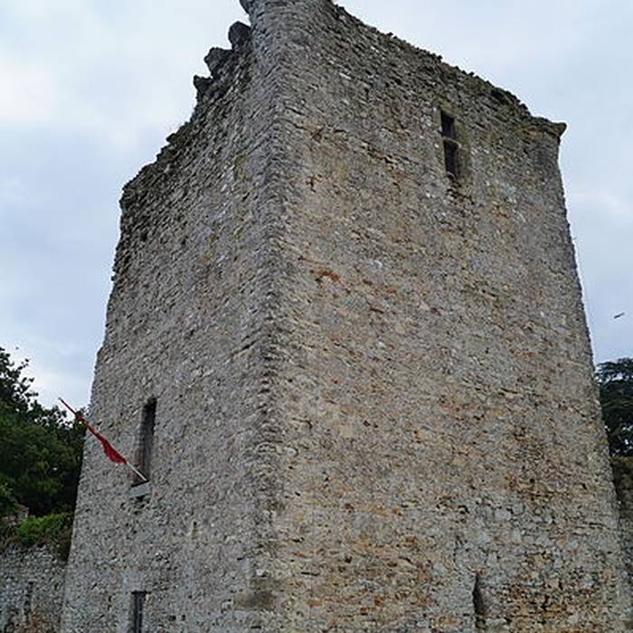 Photo de Château des Essarts