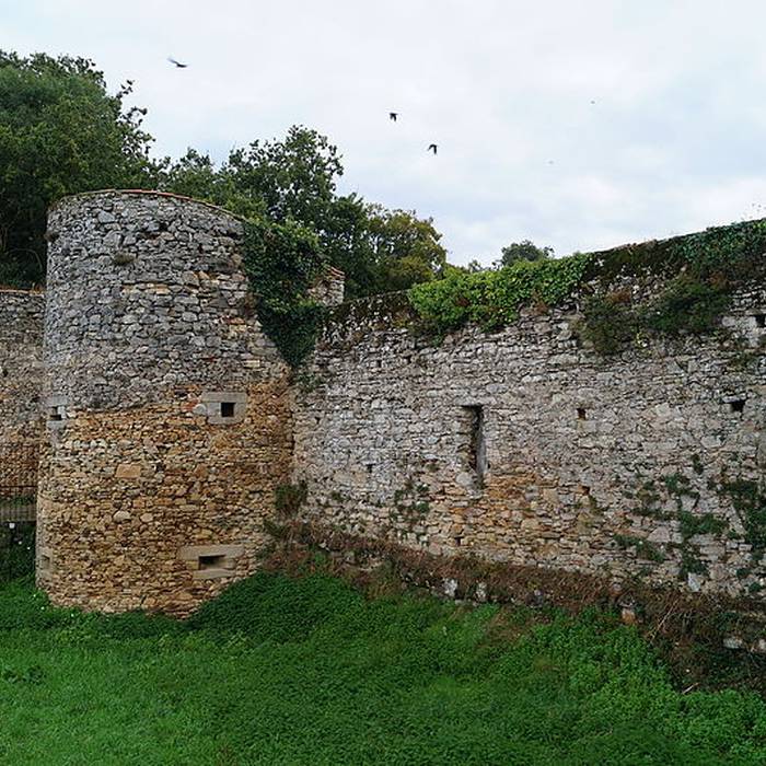 Photo de Château des Essarts