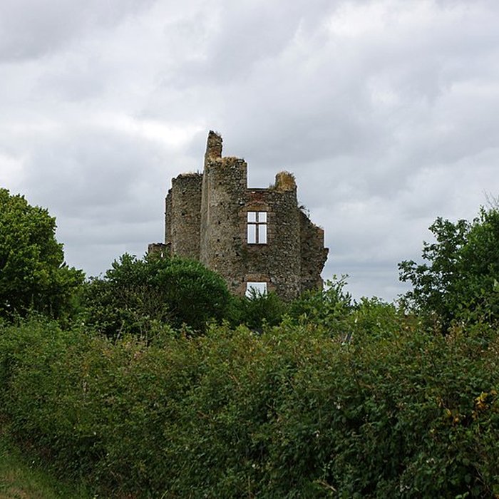 Photo de Château des Hayes Gasselin ruines