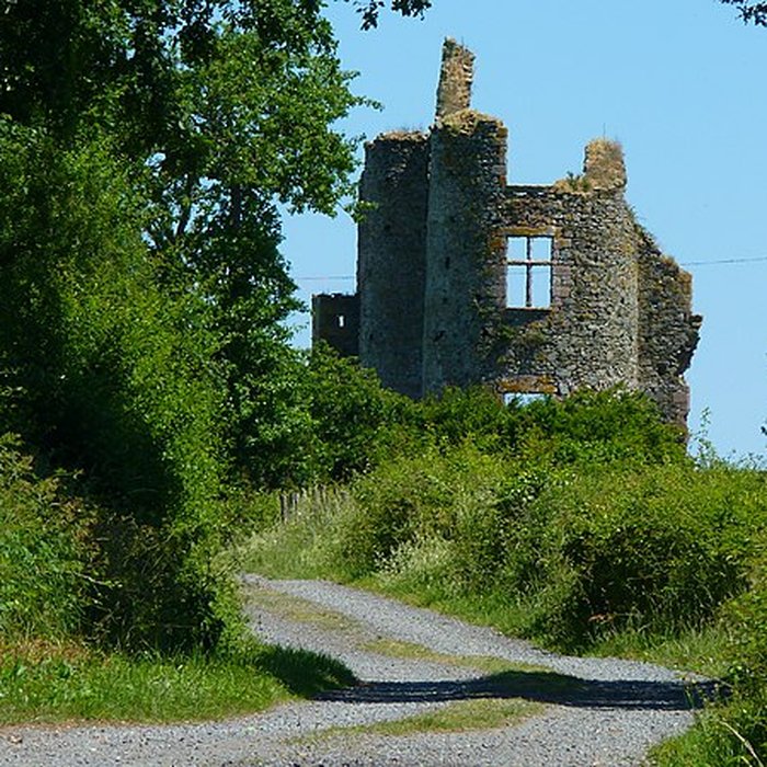 Photo de Château des Hayes Gasselin ruines
