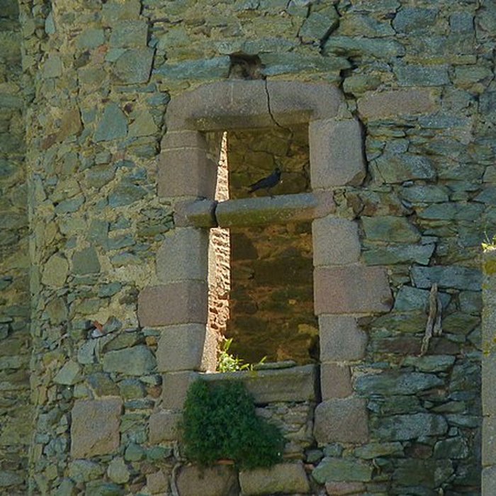 Photo de Château des Hayes Gasselin ruines