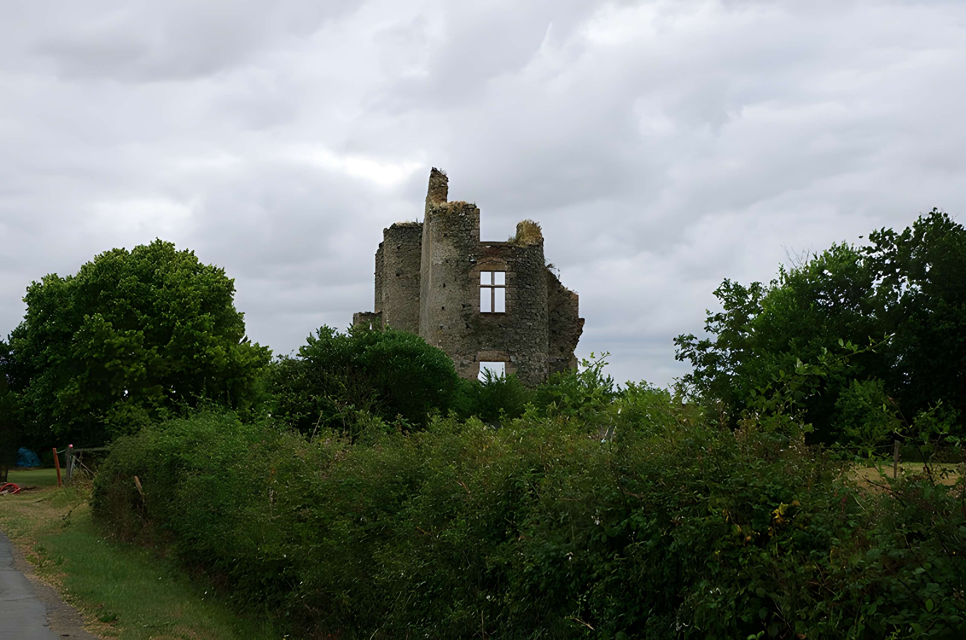Château des Hayes Gasselin (ruines)