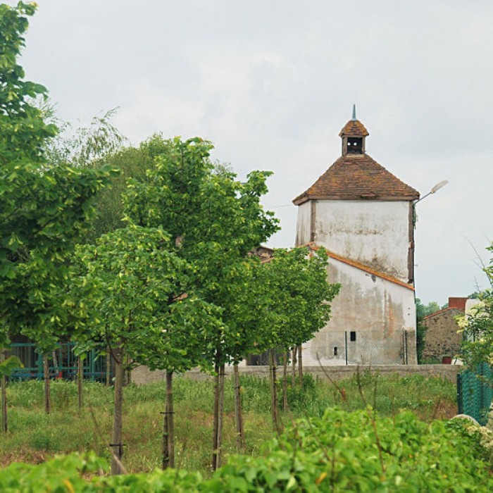 Photo de Château des Pradeaux