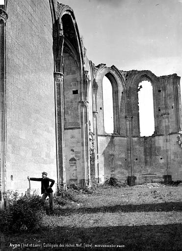 Château des Roches-Tranchelion