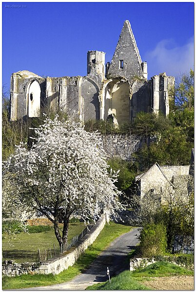 Château des Roches-Tranchelion