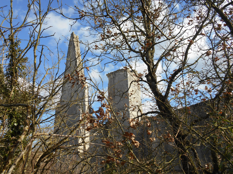 Château des Roches-Tranchelion