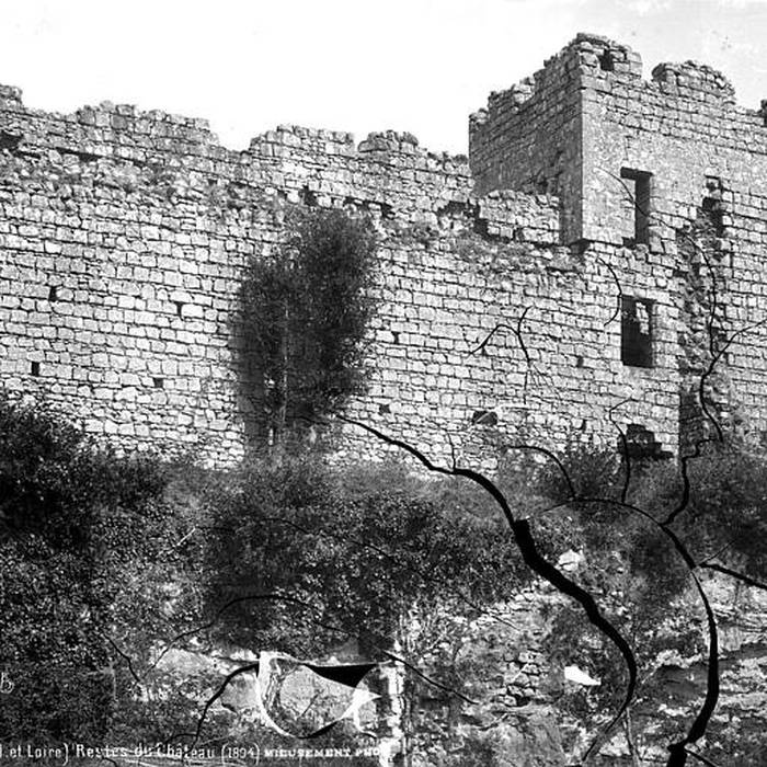 Photo de Château des Roches-Tranchelion