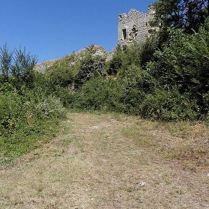 Photo de Château des Roches-Tranchelion