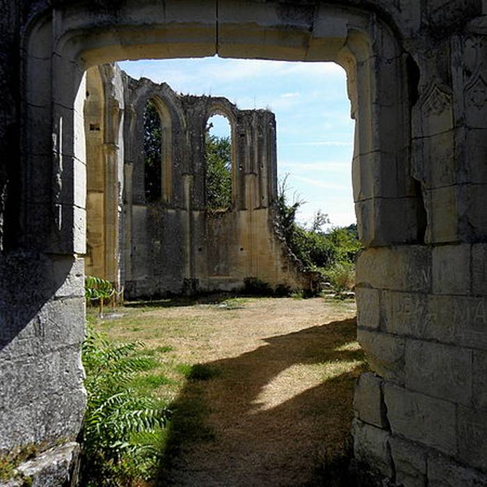 Photo de Château des Roches-Tranchelion