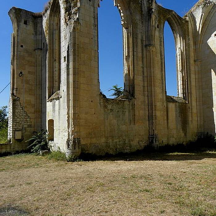 Photo de Château des Roches-Tranchelion