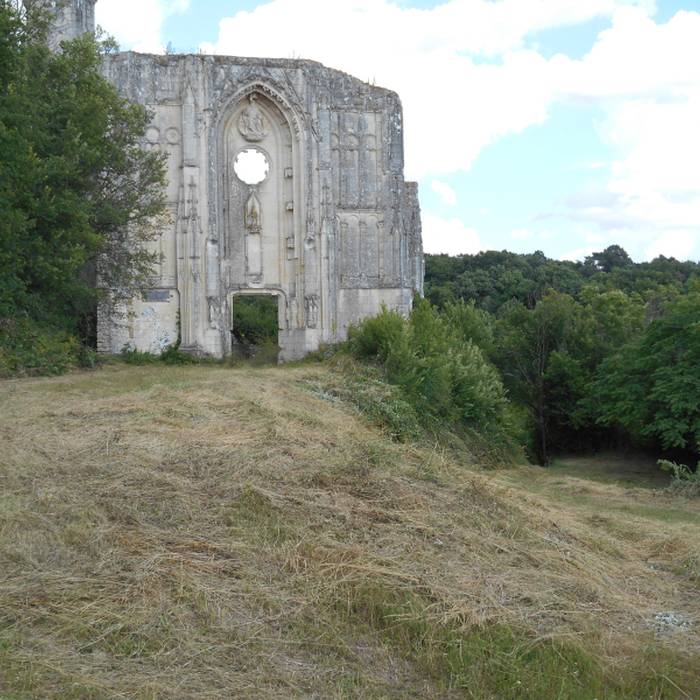 Photo de Château des Roches-Tranchelion