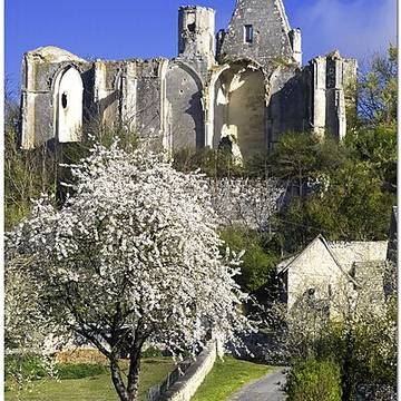Château des Roches-Tranchelion