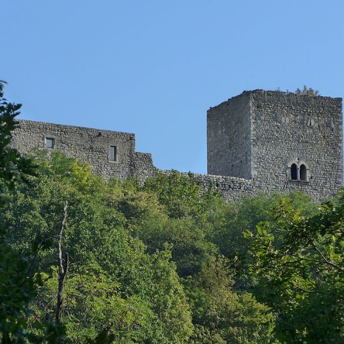Photo de Château des Tourettes vestiges