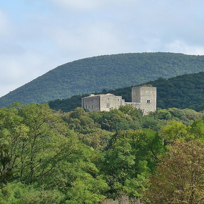 Photo de Château des Tourettes vestiges