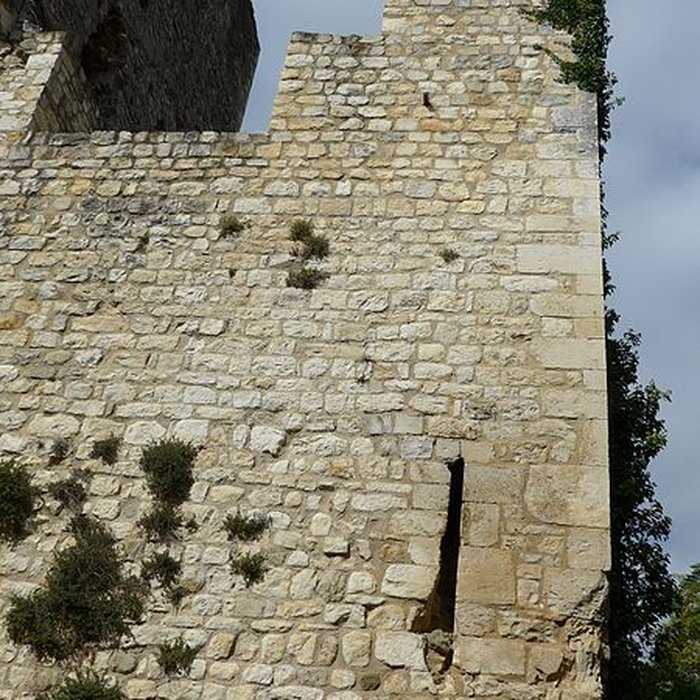 Photo de Château des Tourettes vestiges