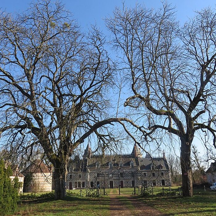 Photo de Château dEscorpain