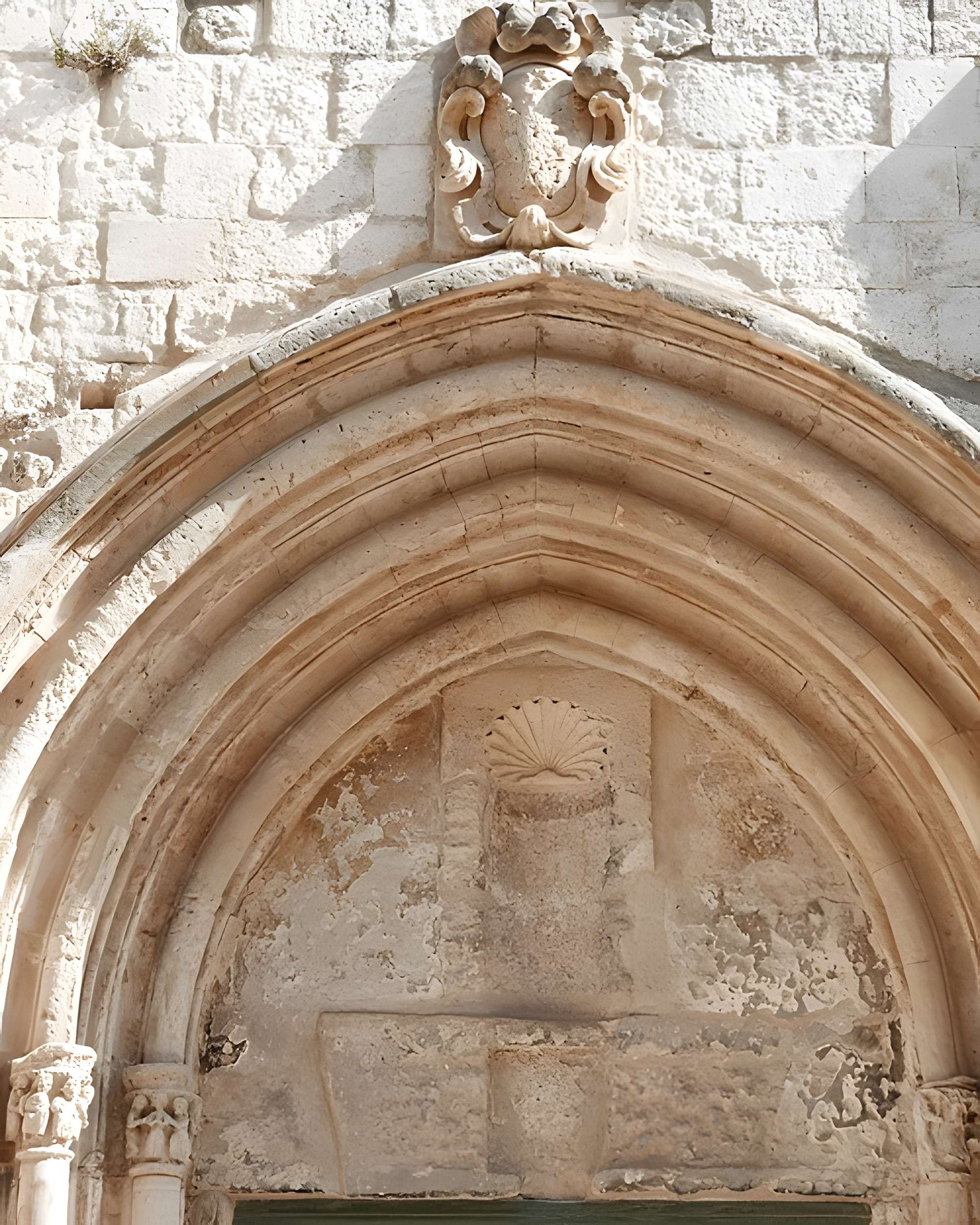 Primatiale Sainte Trophime d'Arles