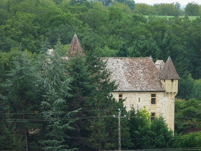 Photo de Château d'Igonie