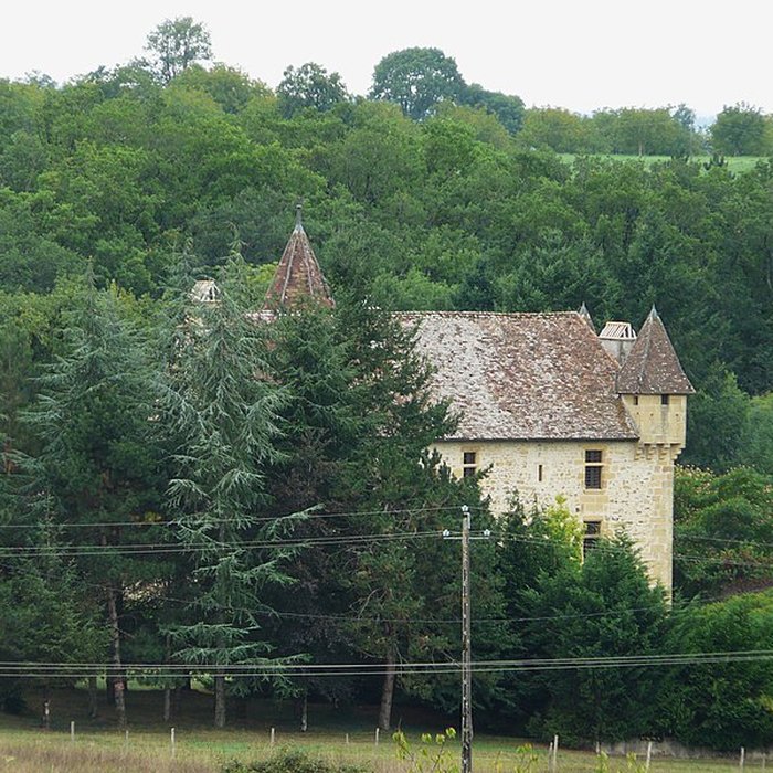 Photo de Château dIgonie