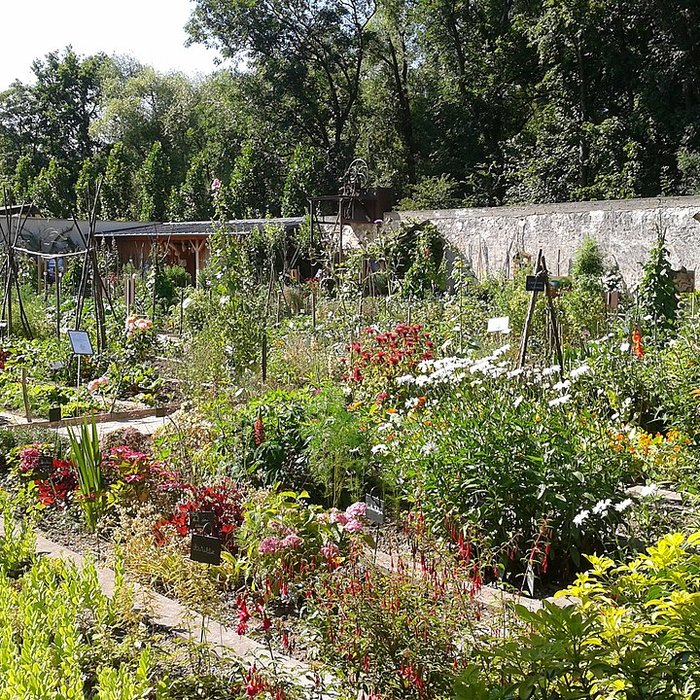 Photo de Propriété Caillebotte à Yerres