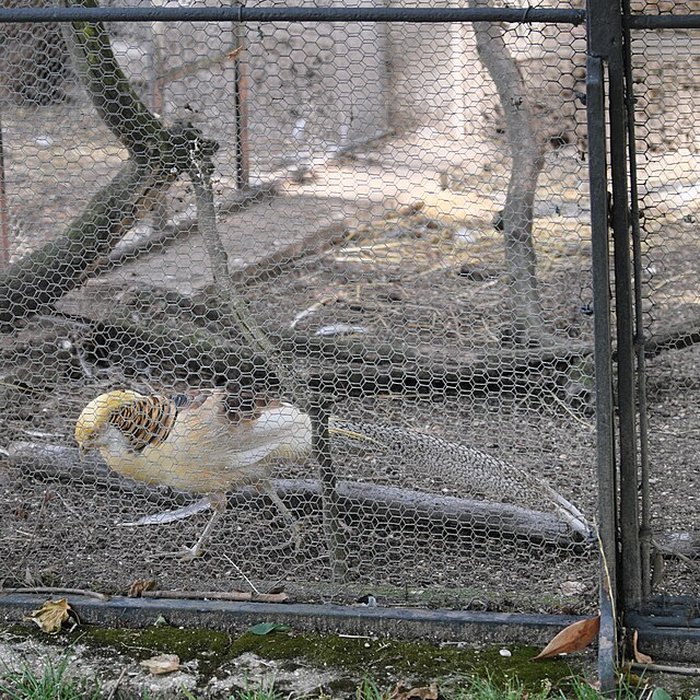 Photo de Propriété Caillebotte à Yerres