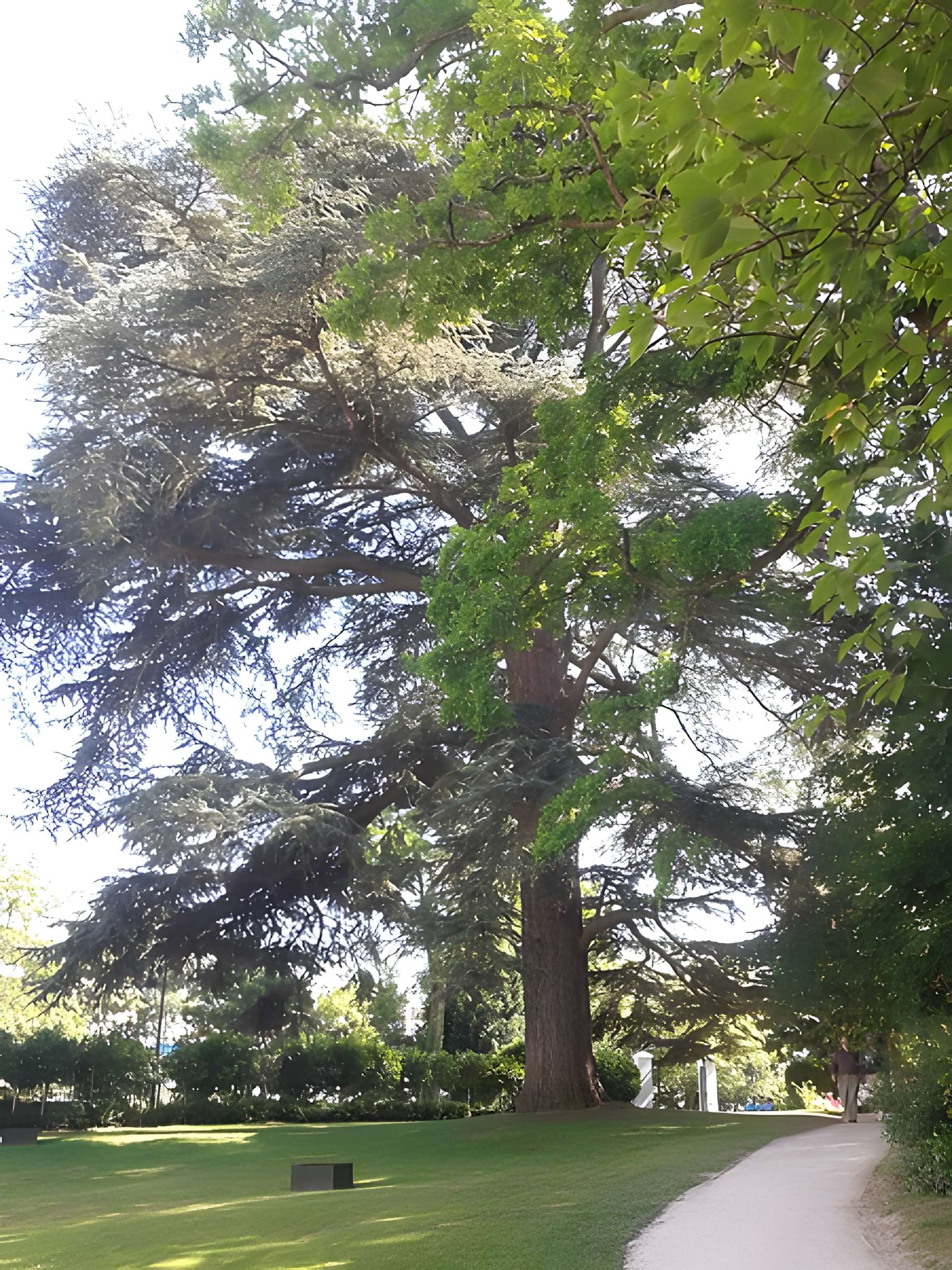 Propriété Caillebotte à Yerres