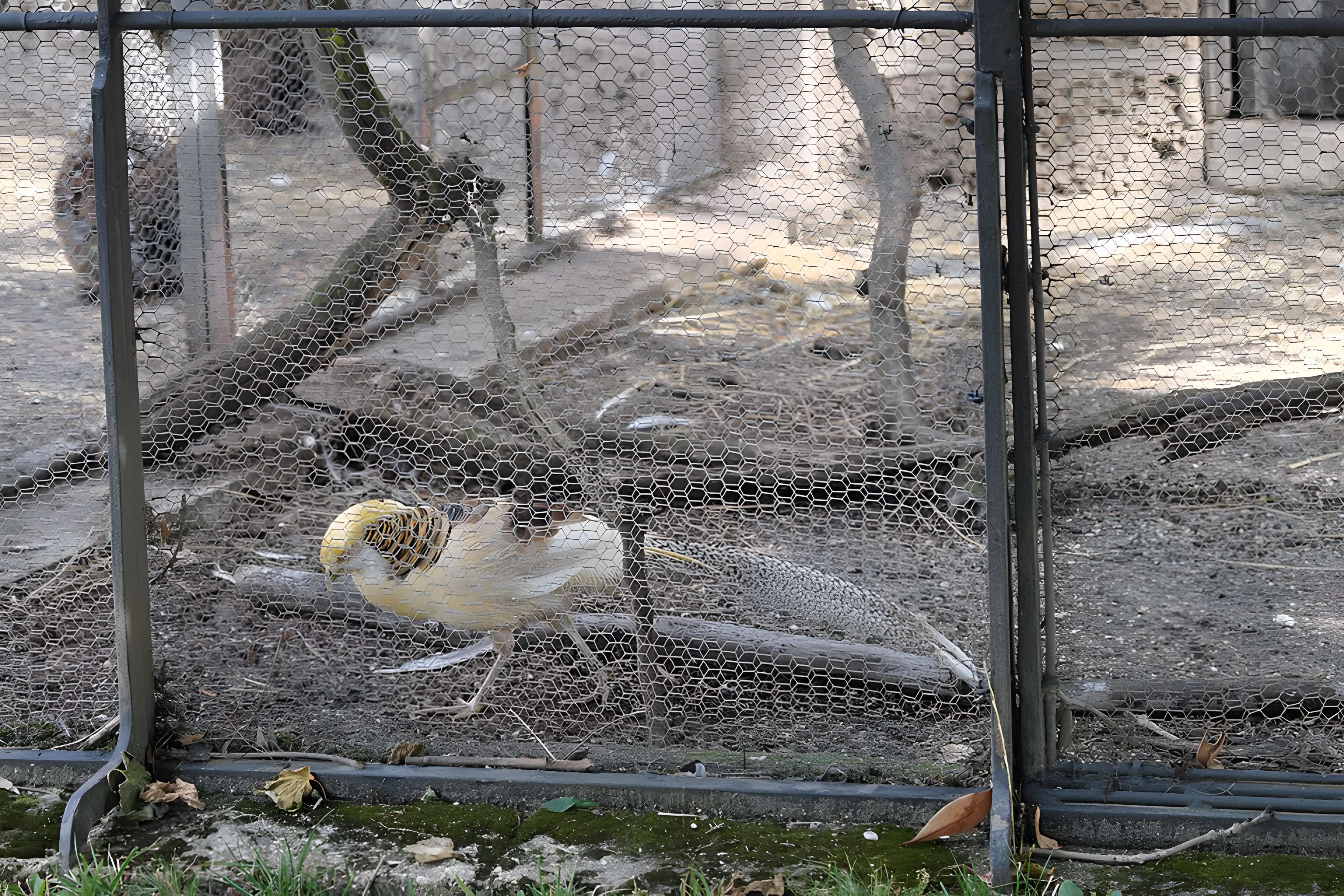 Propriété Caillebotte à Yerres