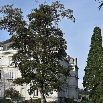 Château Dorian
