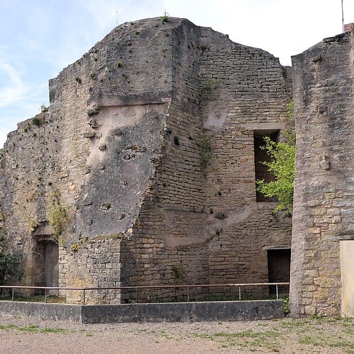 Photo de Château dOugney