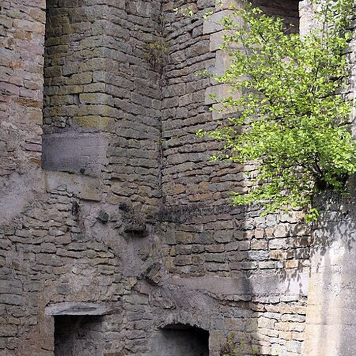 Photo de Château dOugney