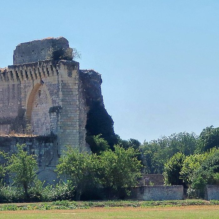 Photo de Château du Bois-Rogue