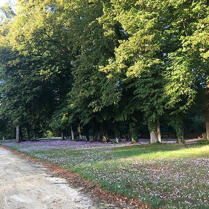 Photo de Château du Bouchet à Lasse