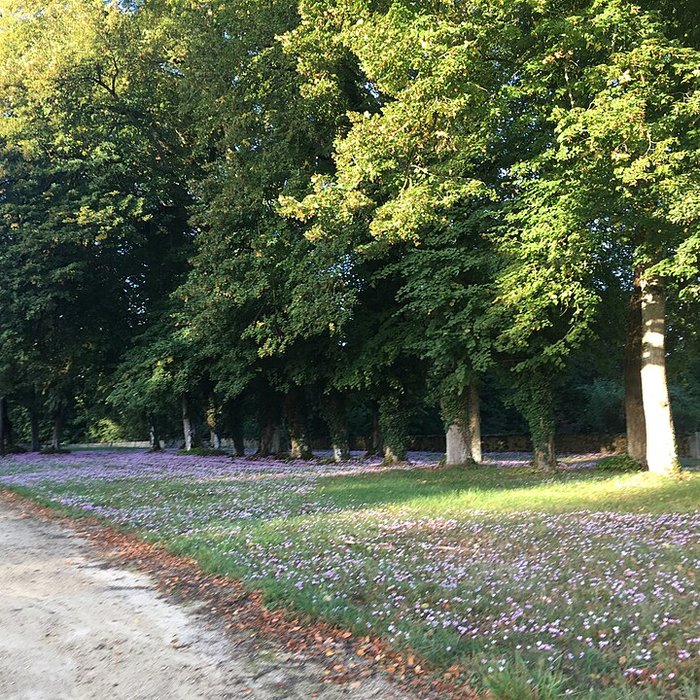 Photo de Château du Bouchet à Lasse