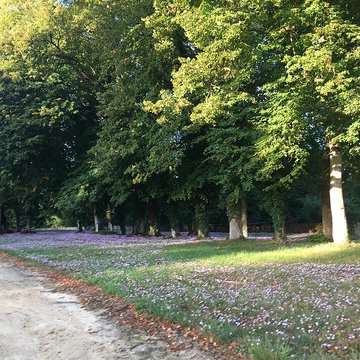 Château du Bouchet à Lasse