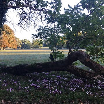 Château du Bouchet à Lasse