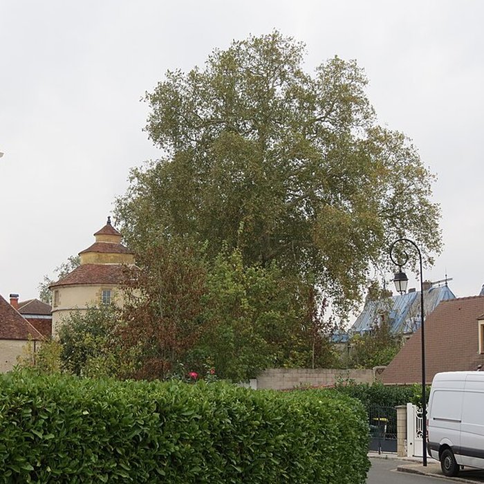 Photo de Château du duc dÉpernon