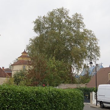 Château du duc dÉpernon