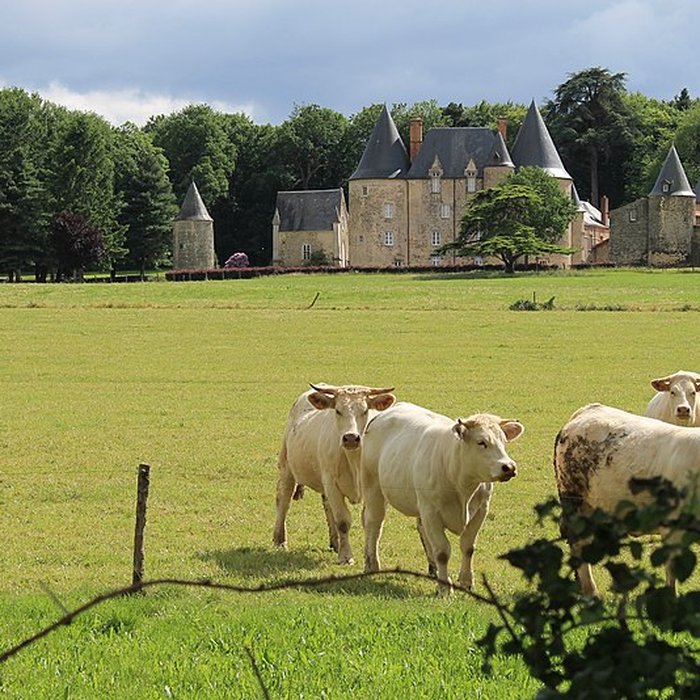 Photo de Château du Fief-Milon