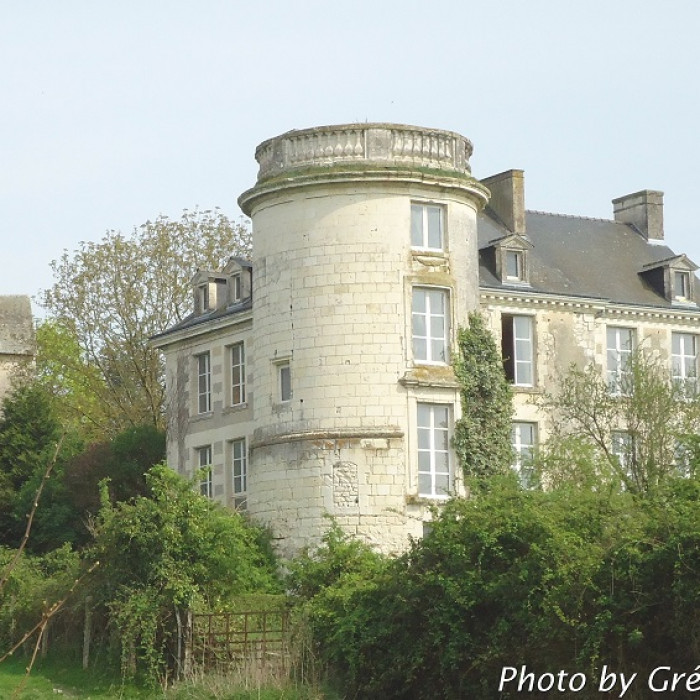 Photo de Château du Fort-des-Salles