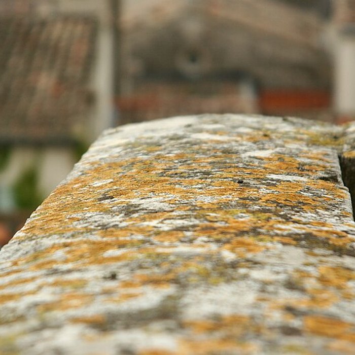 Photo de Remparts dAigues-Mortes