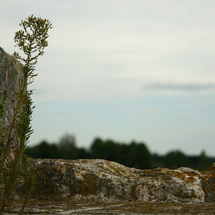 Photo de Remparts dAigues-Mortes