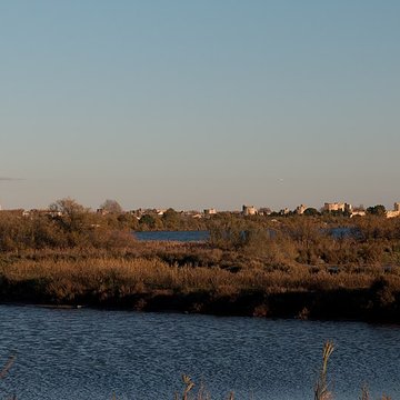 Remparts dAigues-Mortes