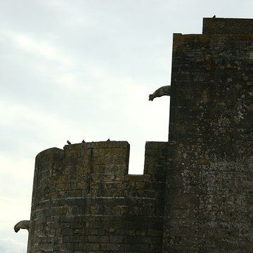 Remparts dAigues-Mortes