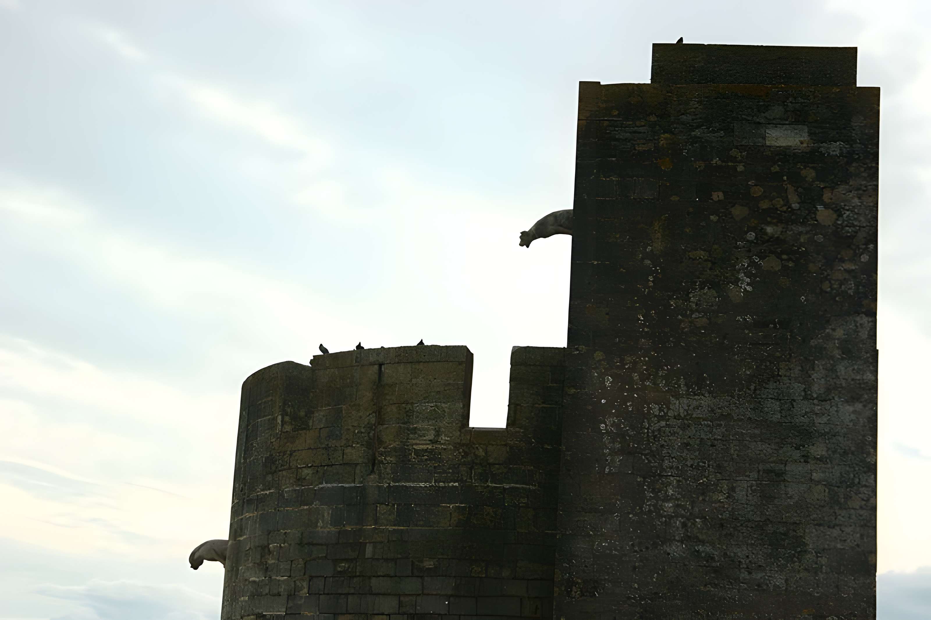 Remparts d'Aigues-Mortes