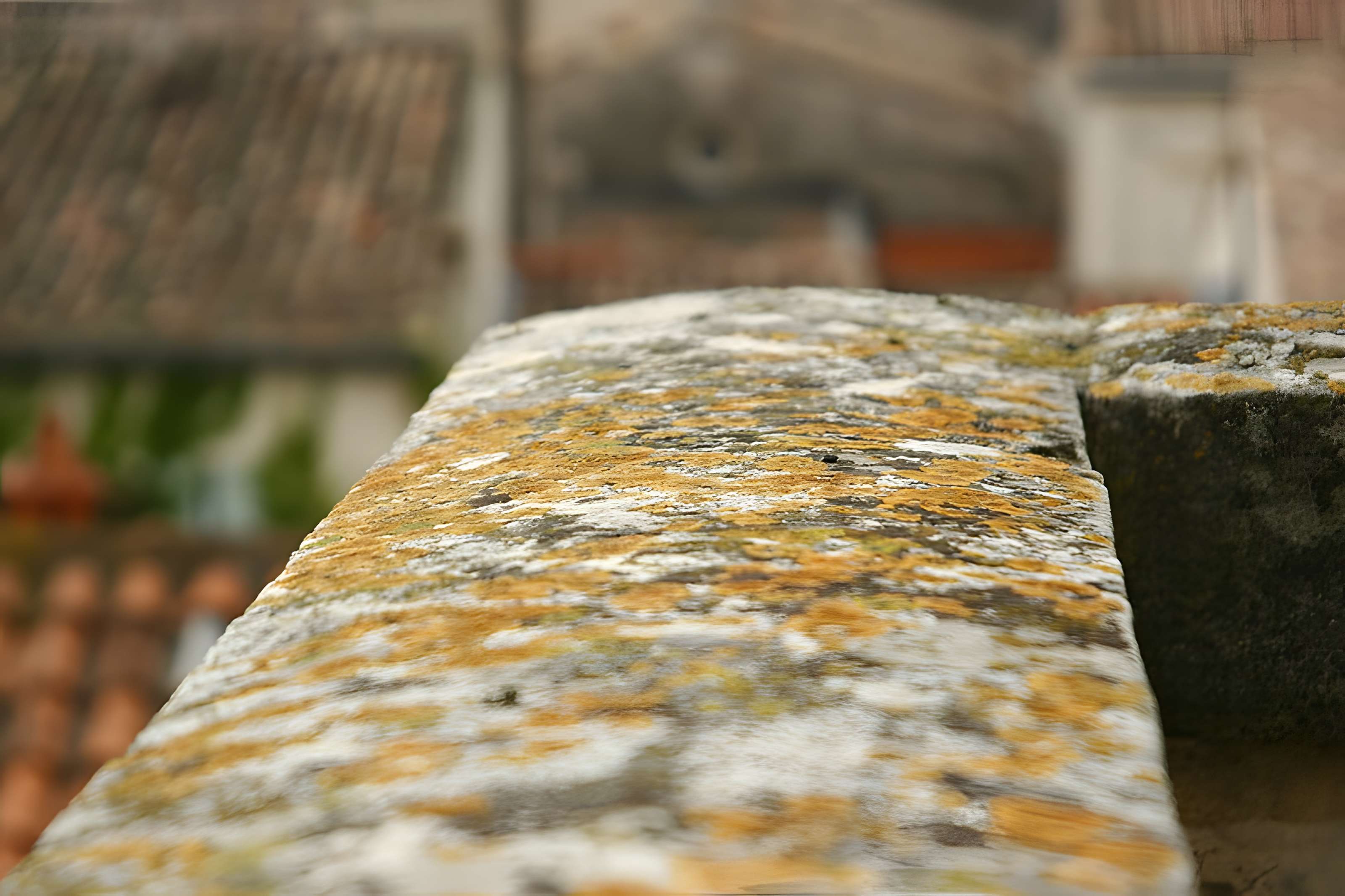 Remparts d'Aigues-Mortes