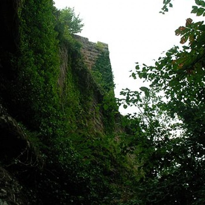 Photo de Château du Grand Arnsbourg